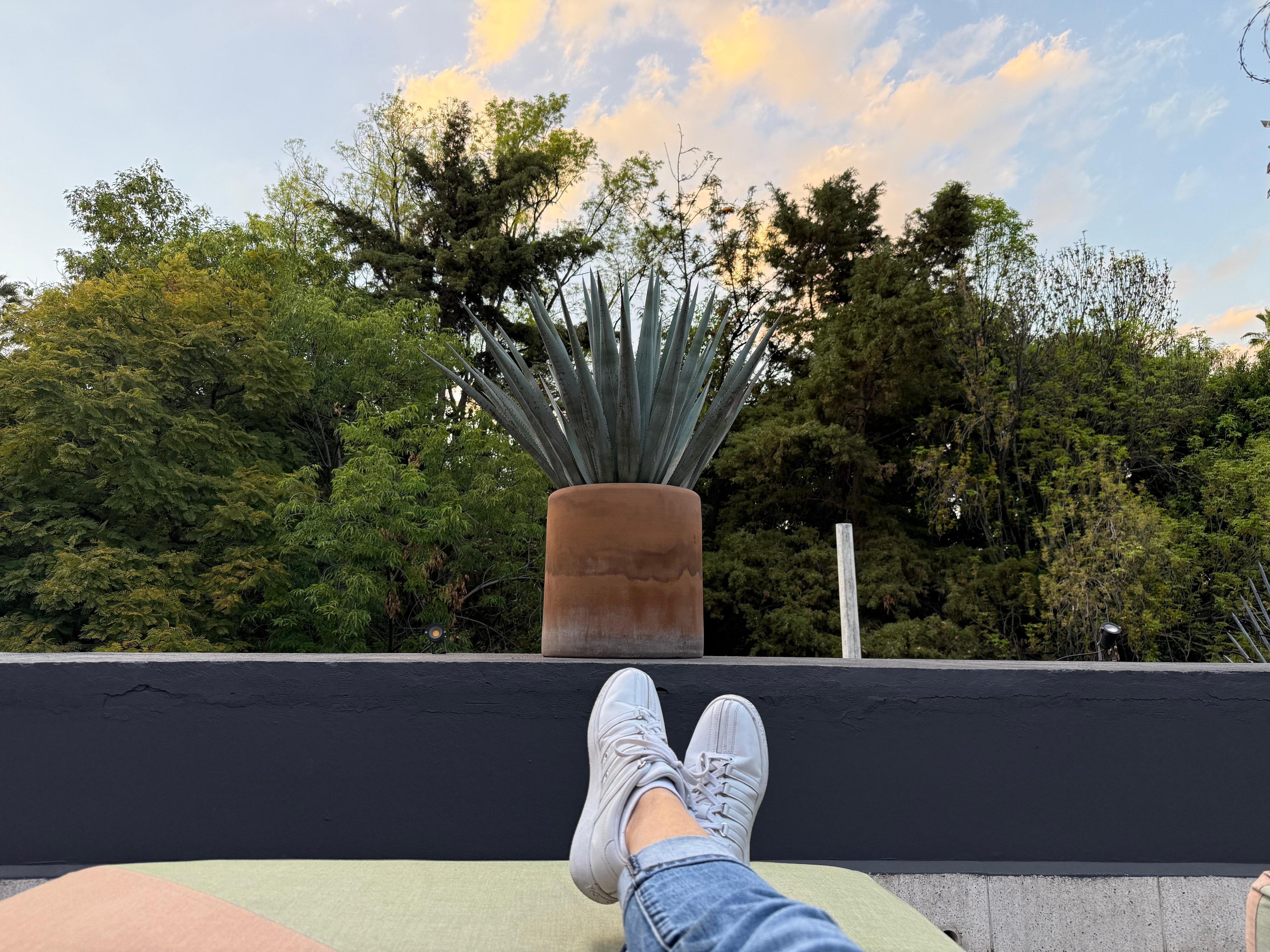 Relaxing on the roof 