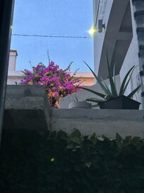 From the smaller bedroom window which also has a pass through window that leads into the larger bedroom. The primary bedroom has no windows and gets very hot to warm. We had to keep the AC going which is only in the living room. AC is not throughout