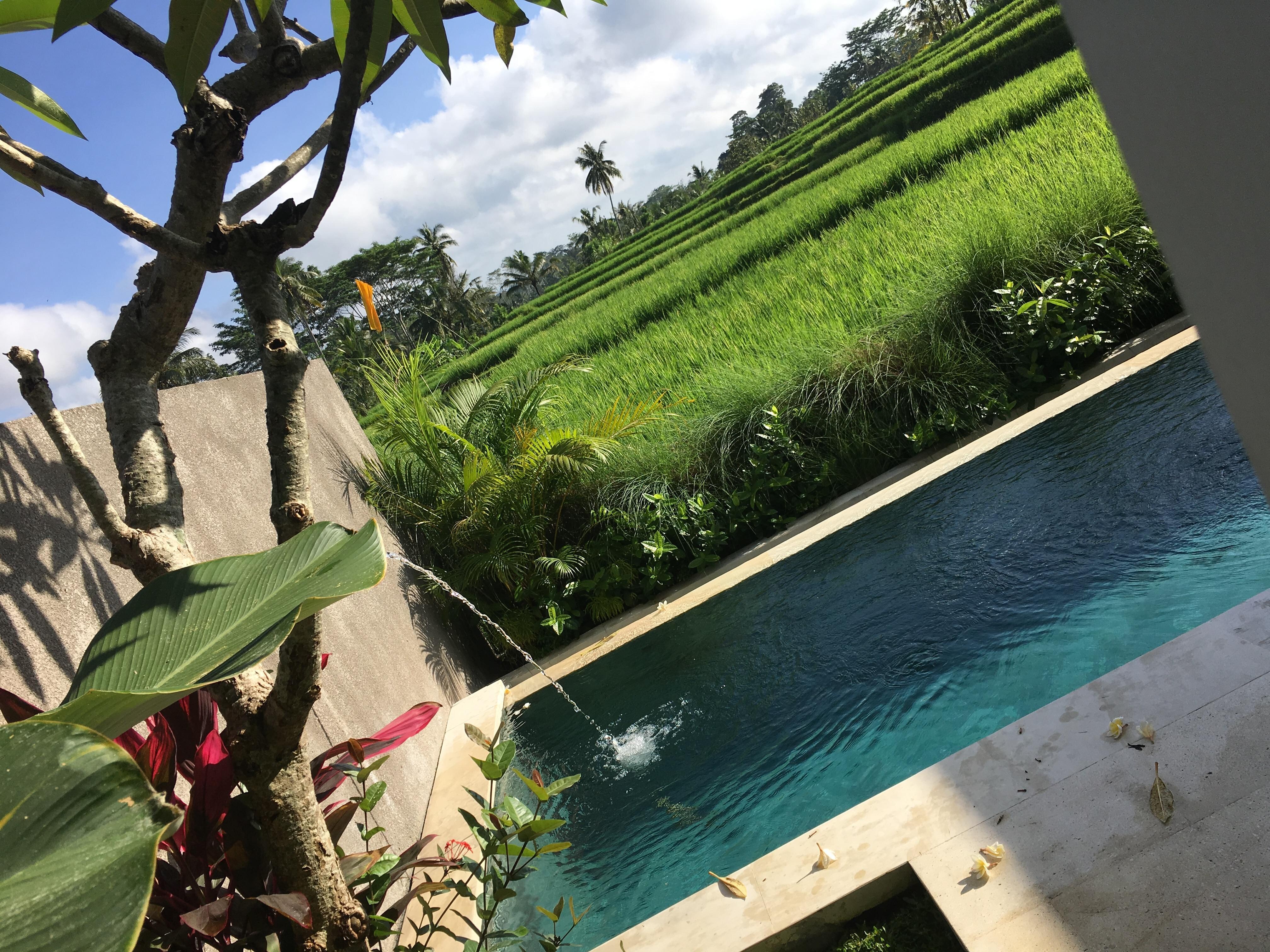 private pool loooking out to green
