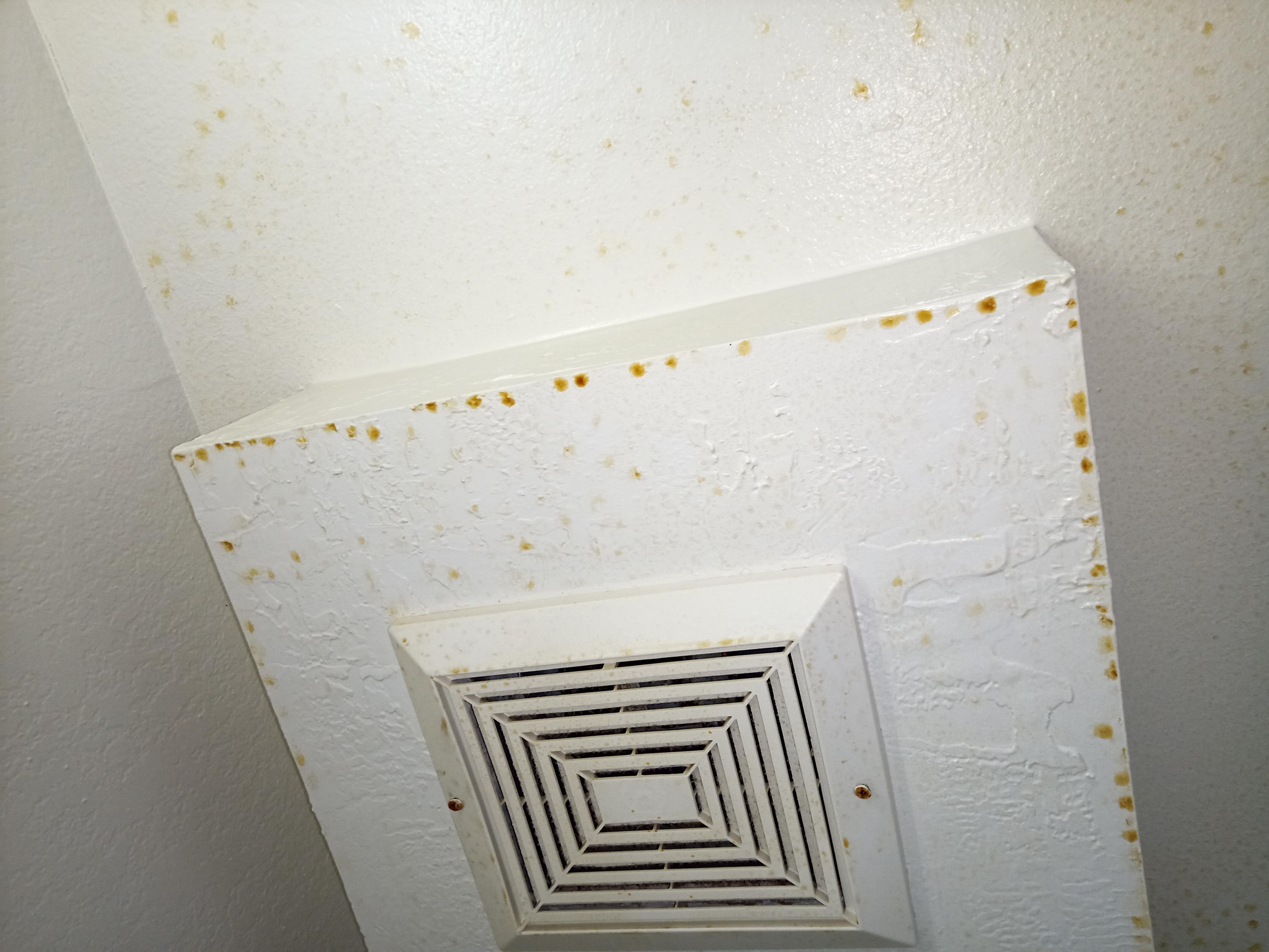 Nicotine/tar on the ceiling in the bathroom, which drips on you when you get out of the shower.