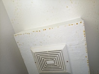 Nicotine/tar on the ceiling in the bathroom, which drips on you when you get out of the shower.