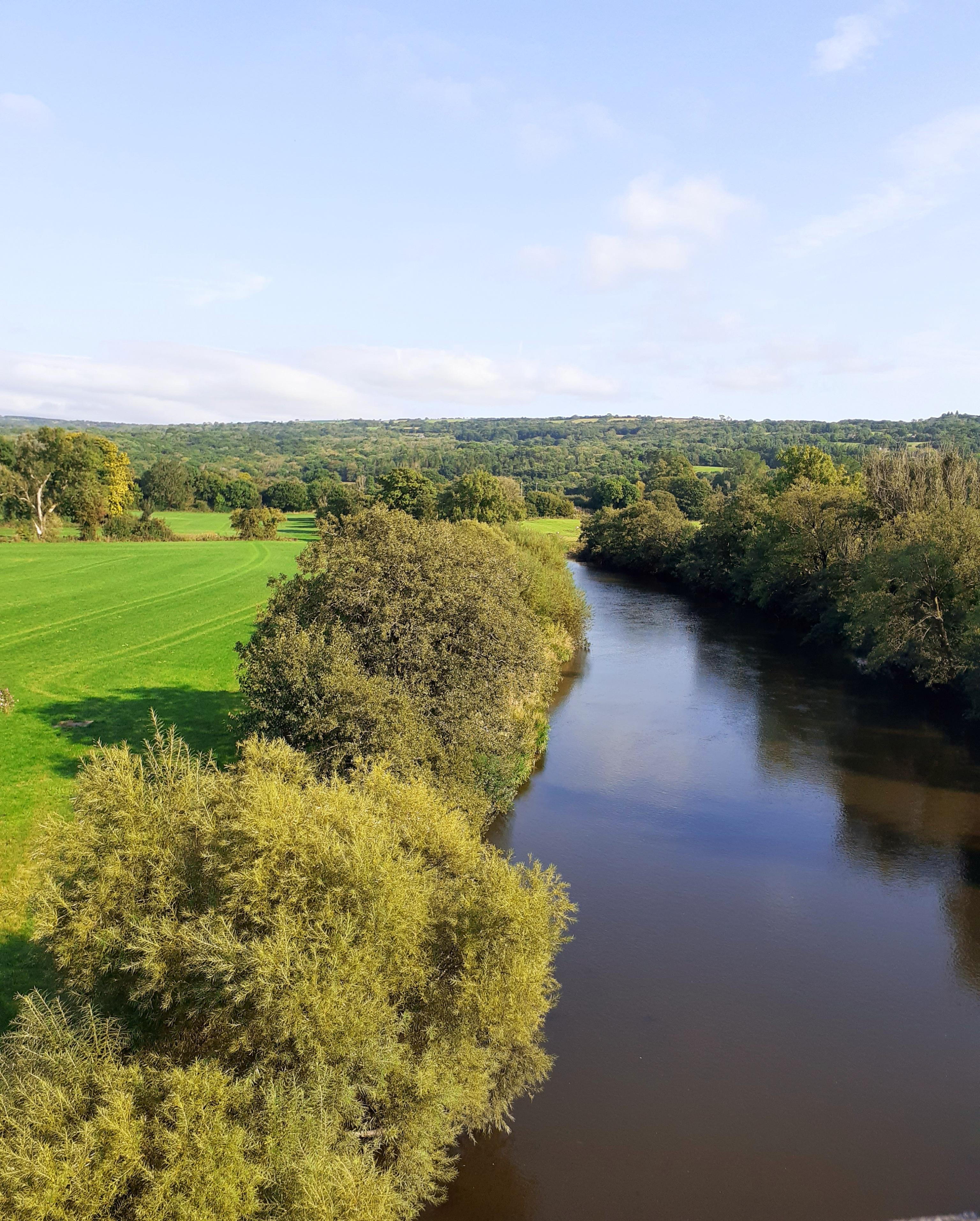 River Towy