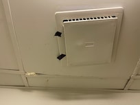 Salian cucarachas del techo