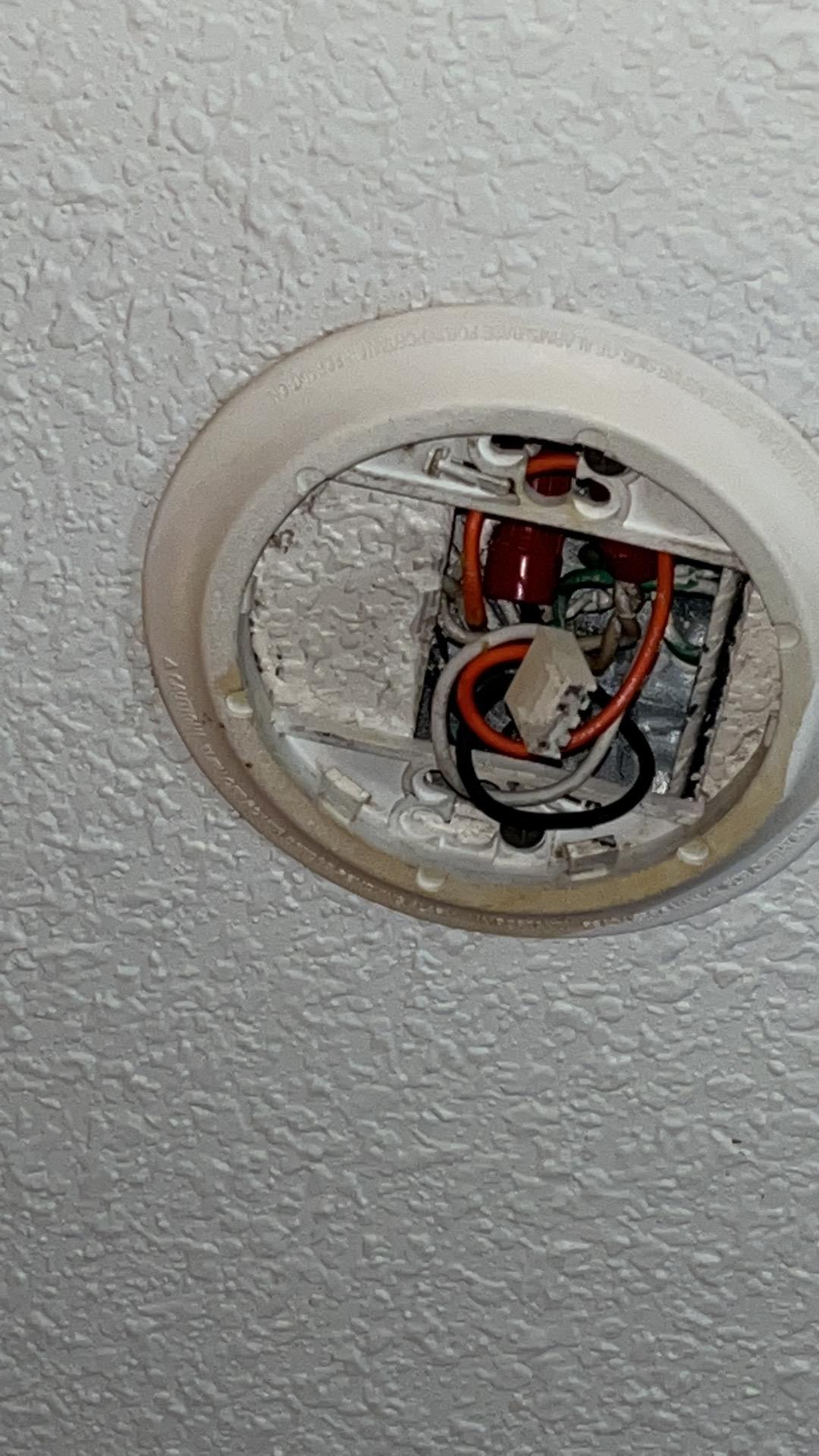 No Smoke Detector