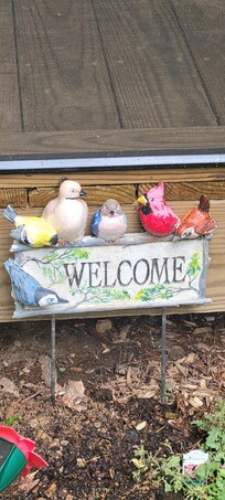 Felt Welcome!