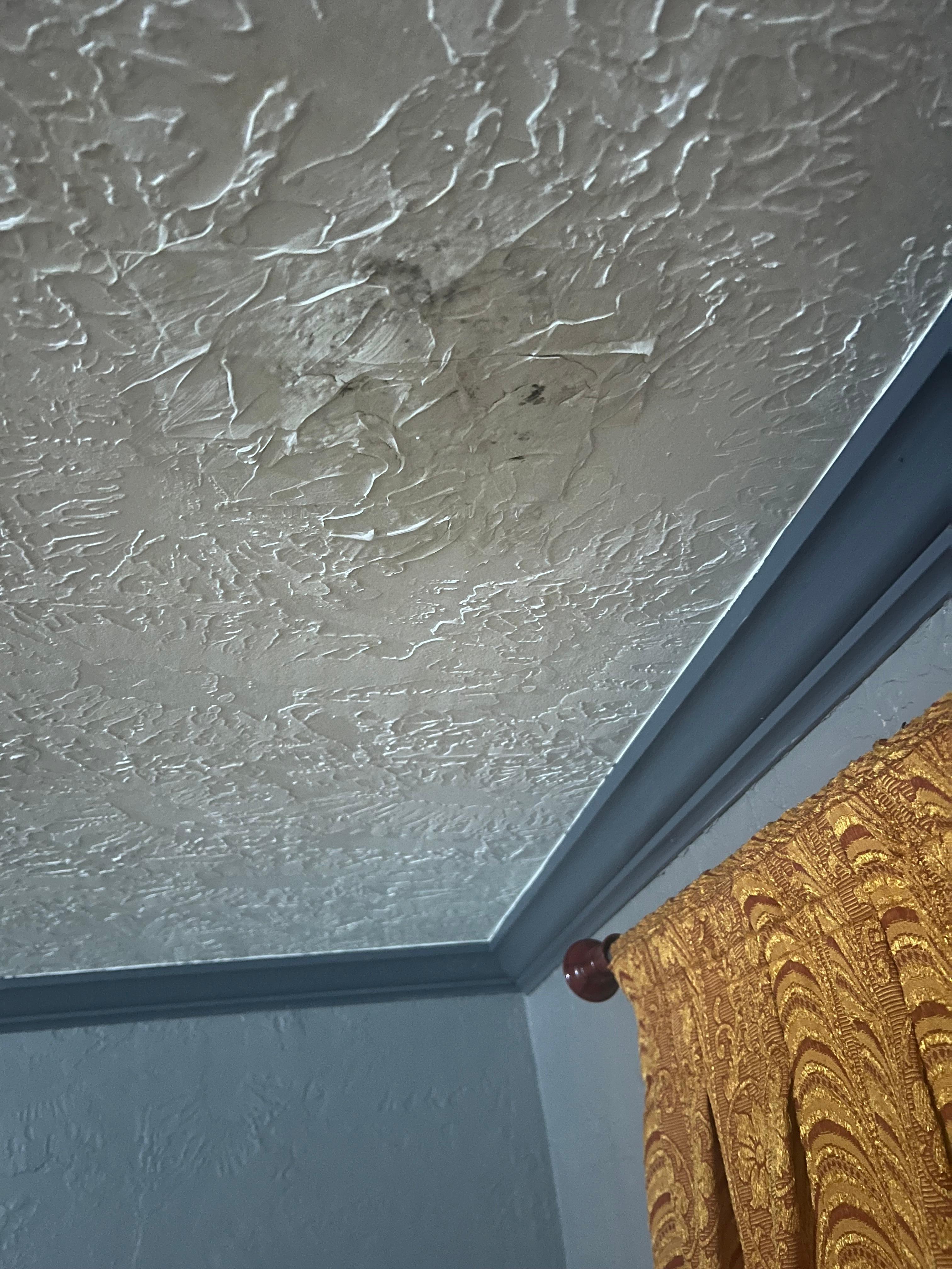 Mold spots