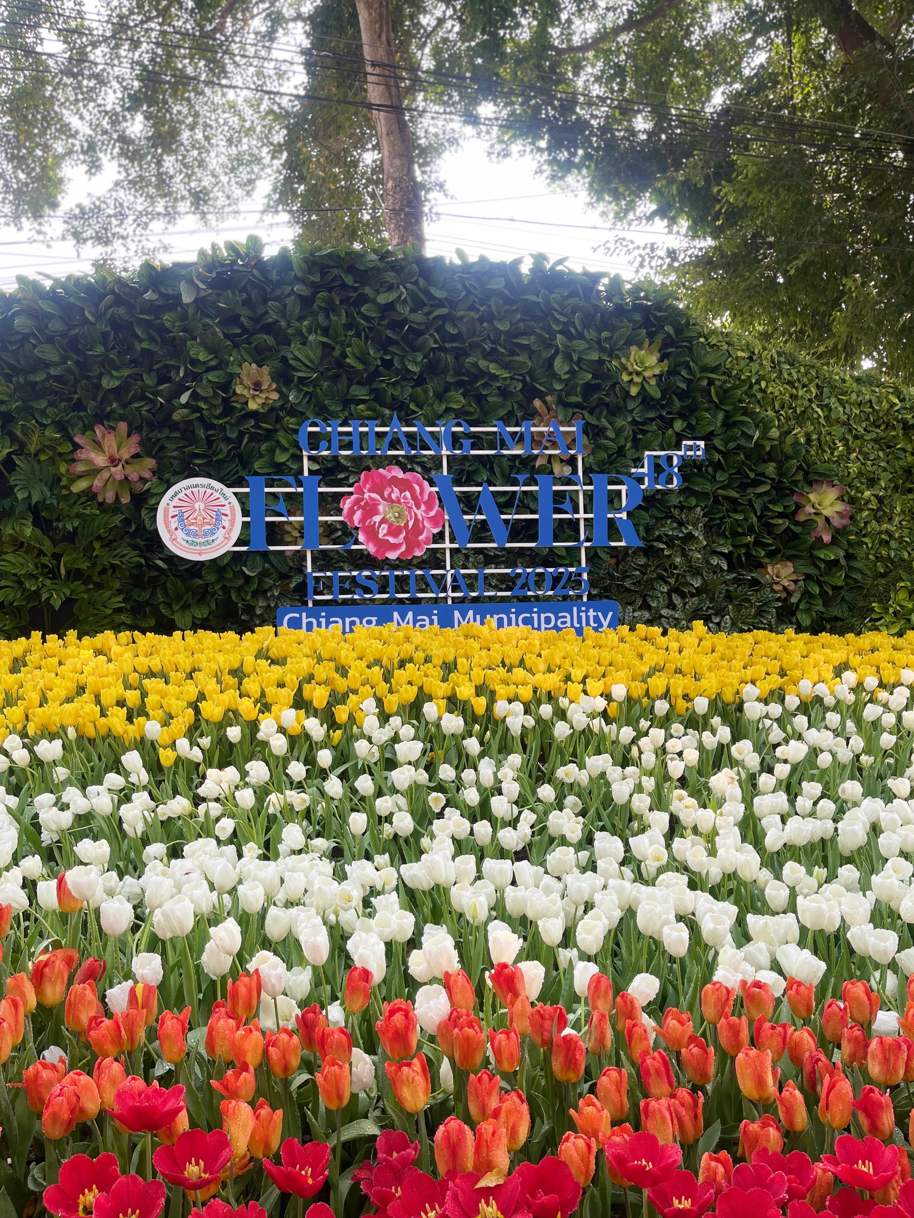 Chiang Mai Annual Flower Festival 7-9Feb2025