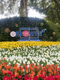 Chiang Mai Annual Flower Festival 7-9Feb2025