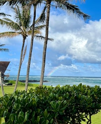 Rainbow caught my eye…