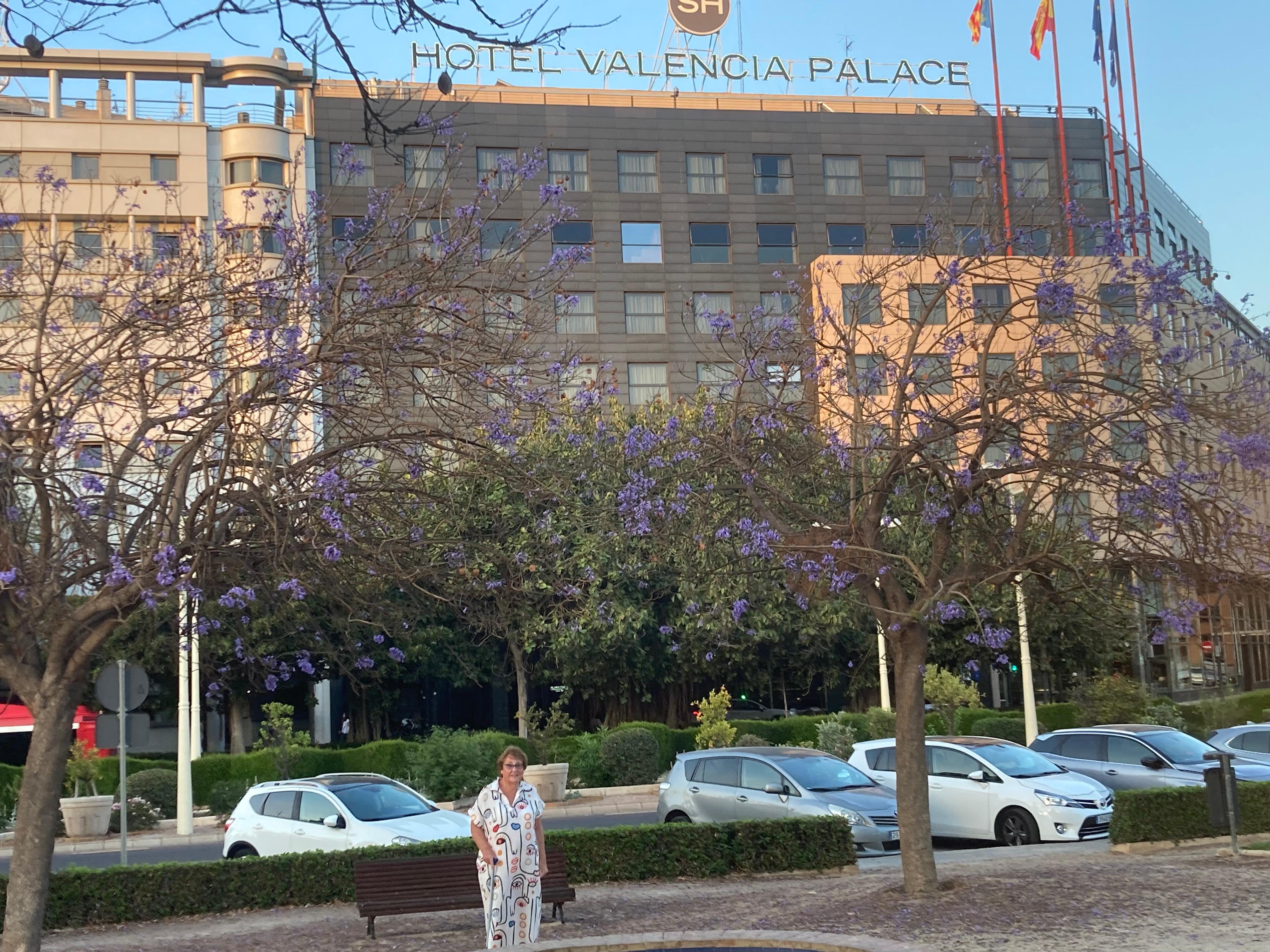 Hotel València Palace 