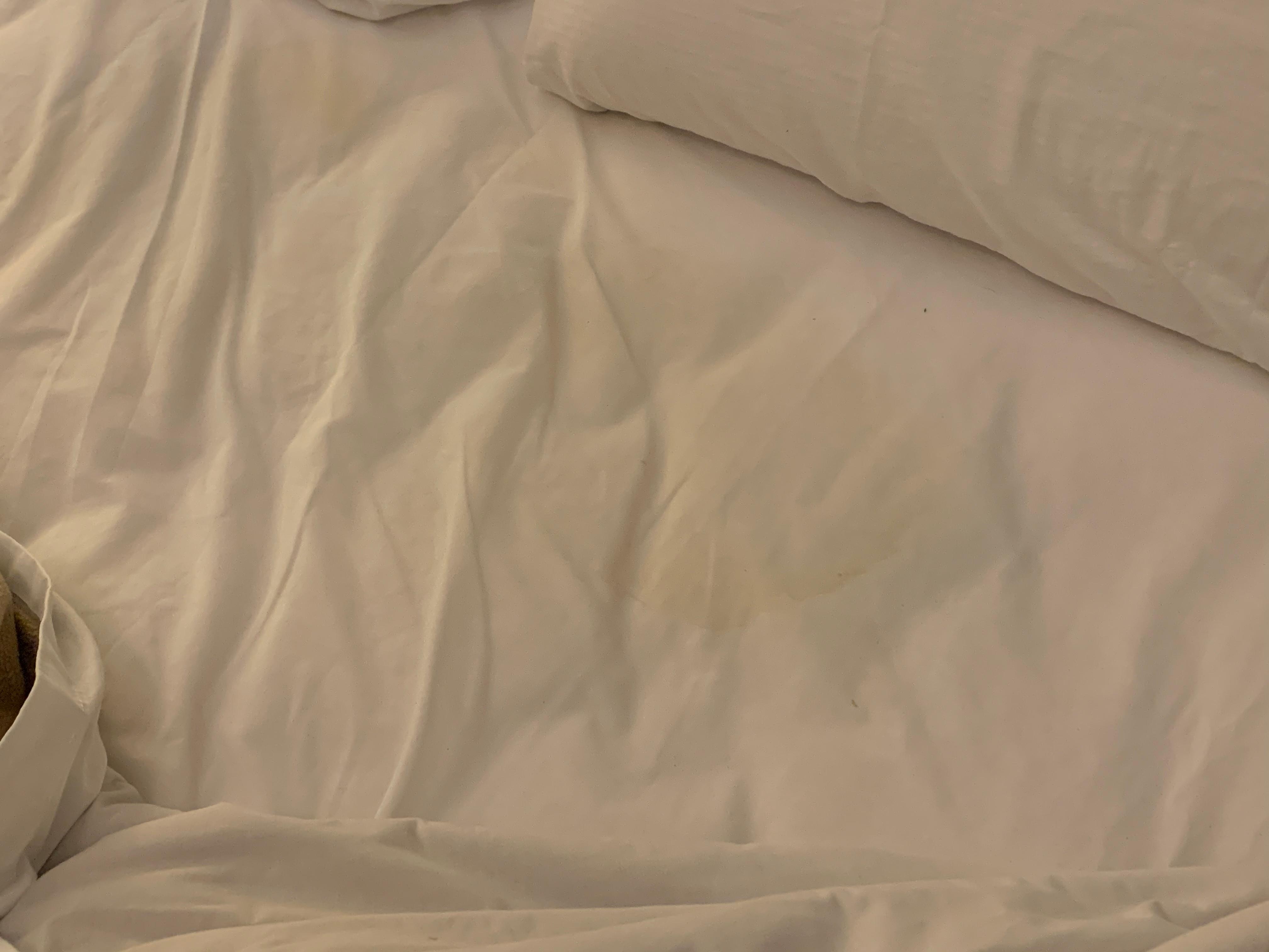 The urine in the bed