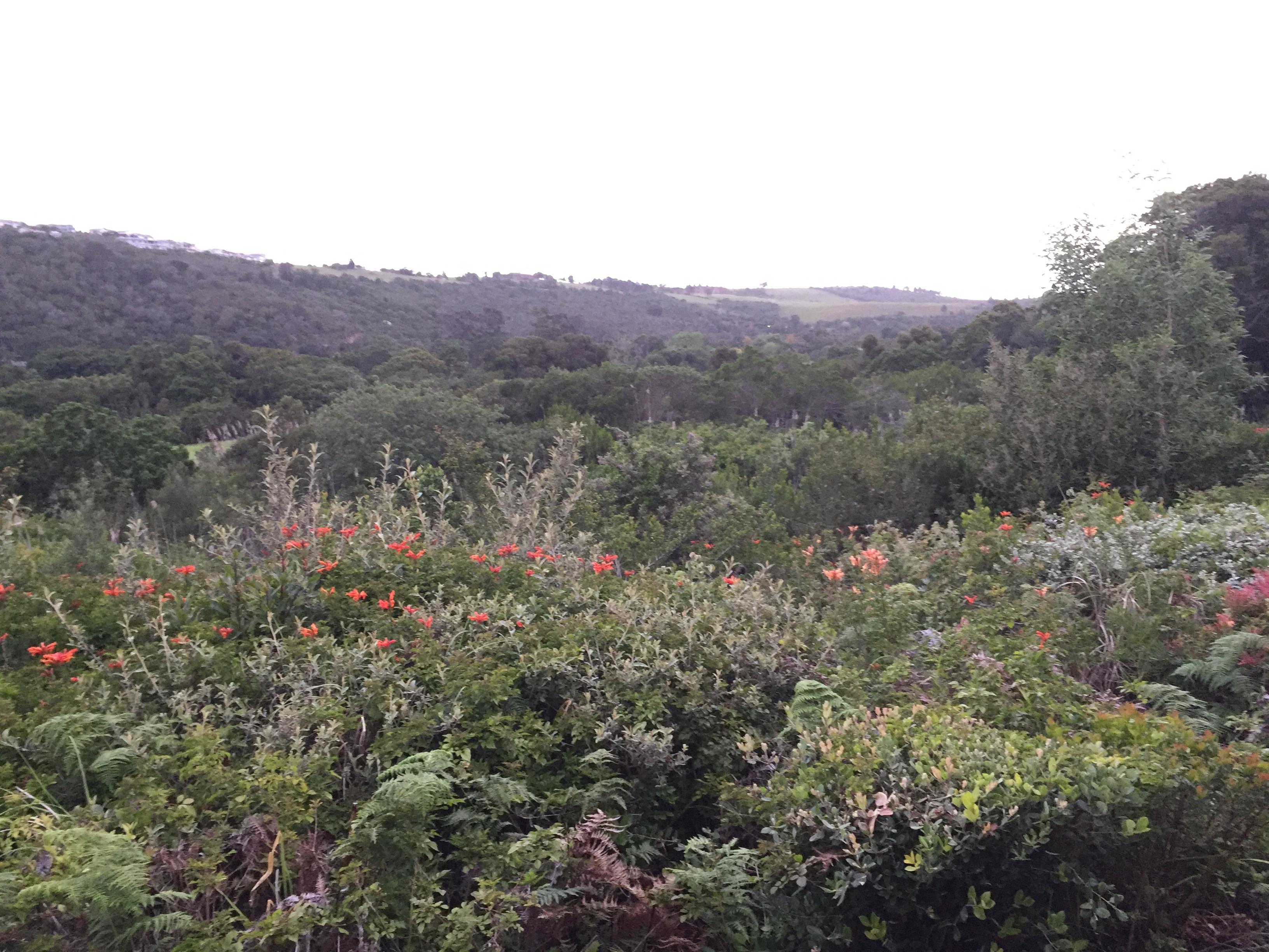 Looking out to the gardens 