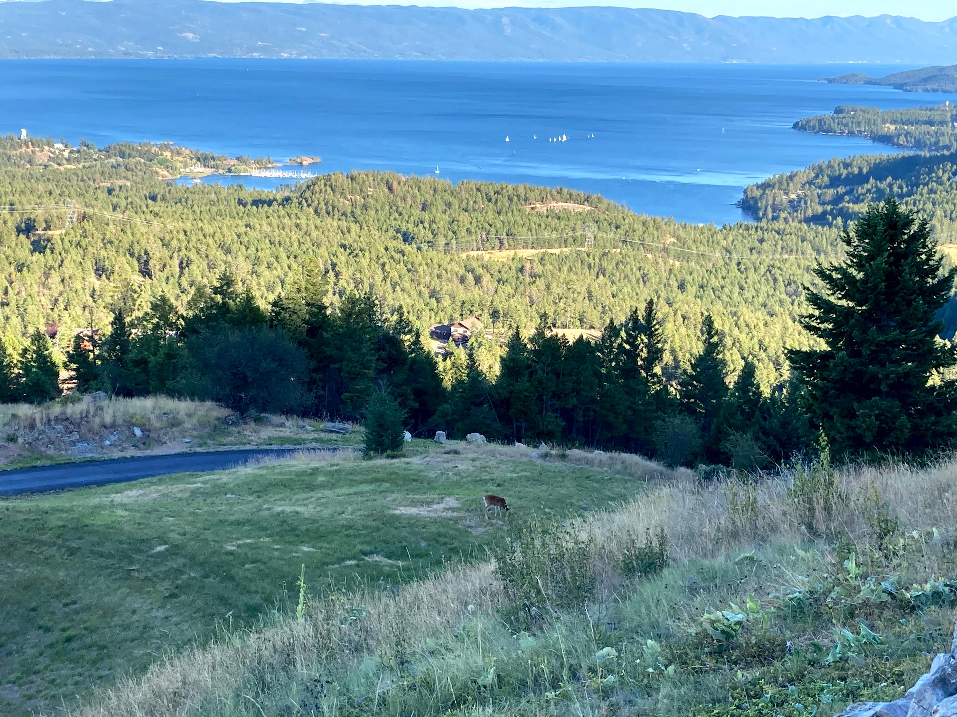 View of Flathead Lake