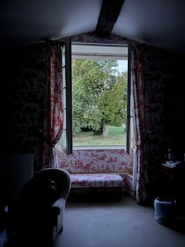 View from the window