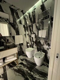 Bathroom view from the toilet side