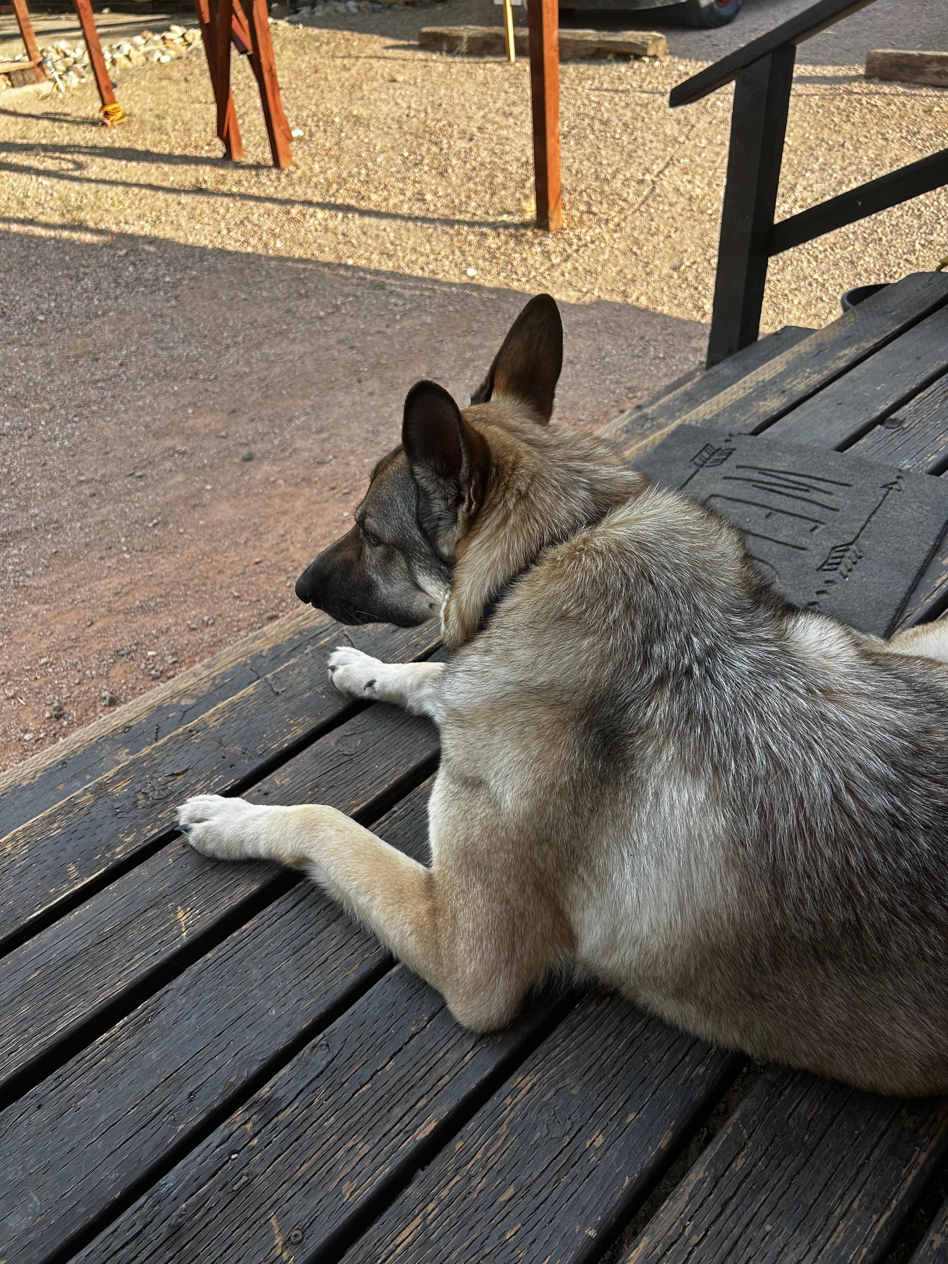 Front porch