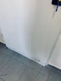 Mold is all over the place