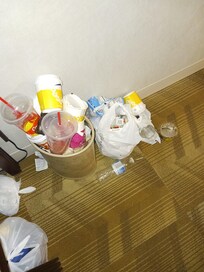 Our trash had to buy bags an take it out ourselfs.