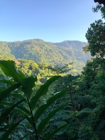 The view from our mountain view cabin