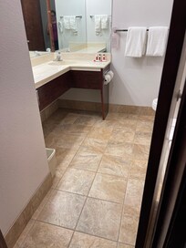 Large bathroom, toilet and bath/shower to the right , no mildew