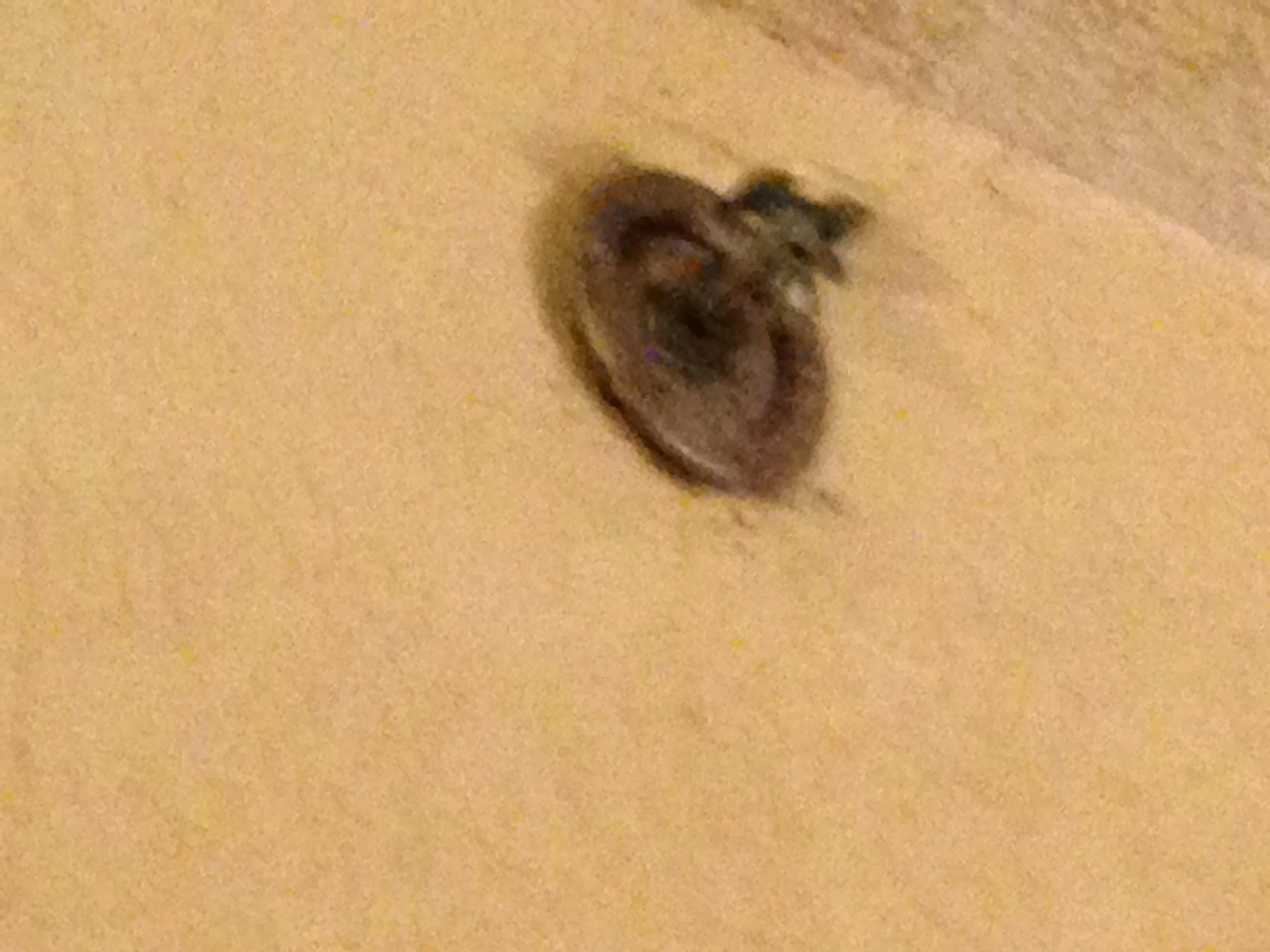 Filthy, corroded sprinkler, mold in the bathroom, smelled anything but fresh