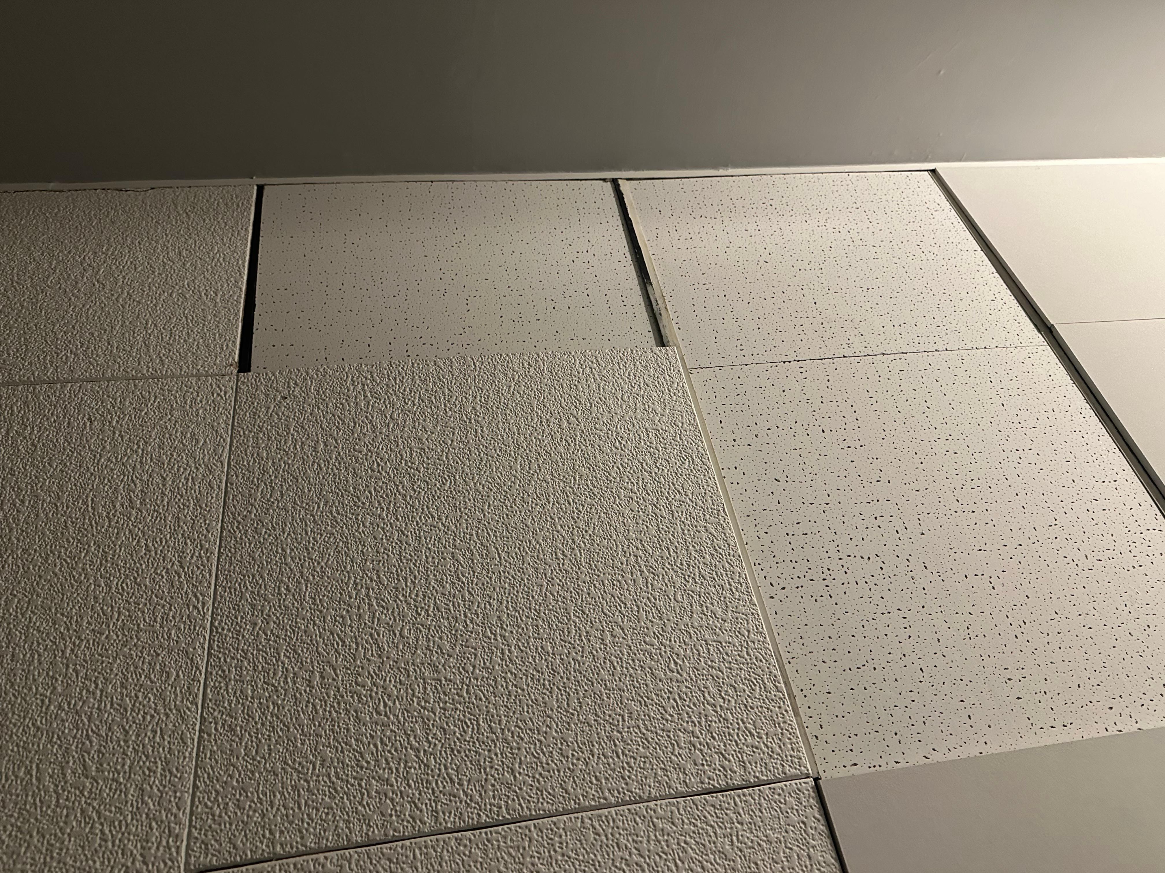 Ceiling tiles 