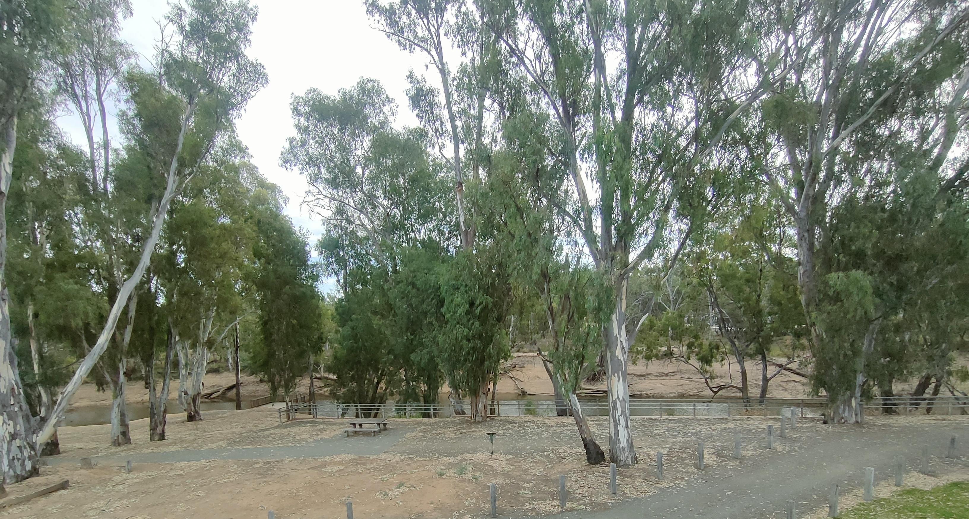 View from our suite's balcony towards the Campaspe River