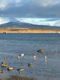 Vista do quarto com flamingos