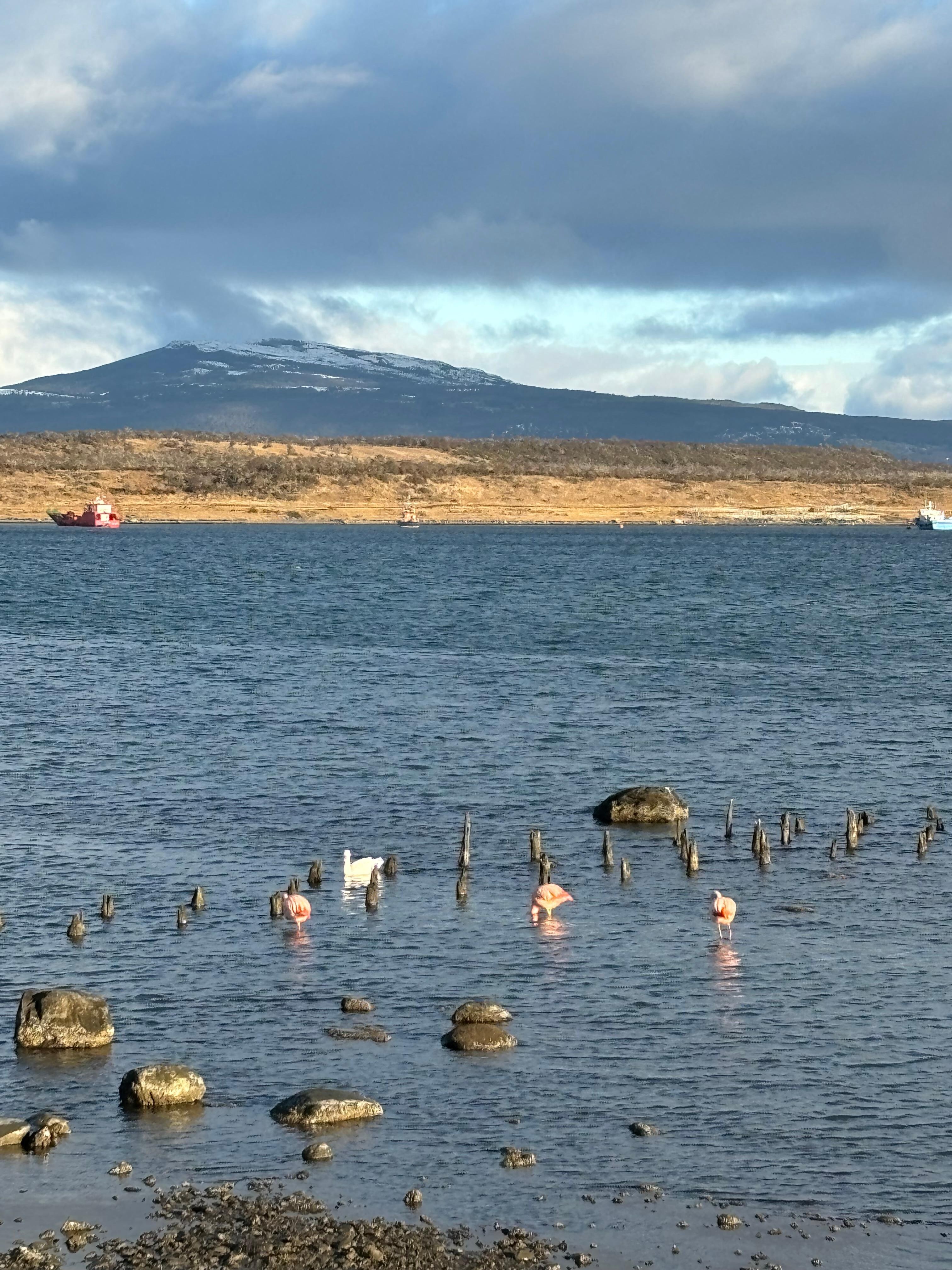 Vista do quarto com flamingos
