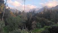 Vue sur le haut du Glacier Franz Josef