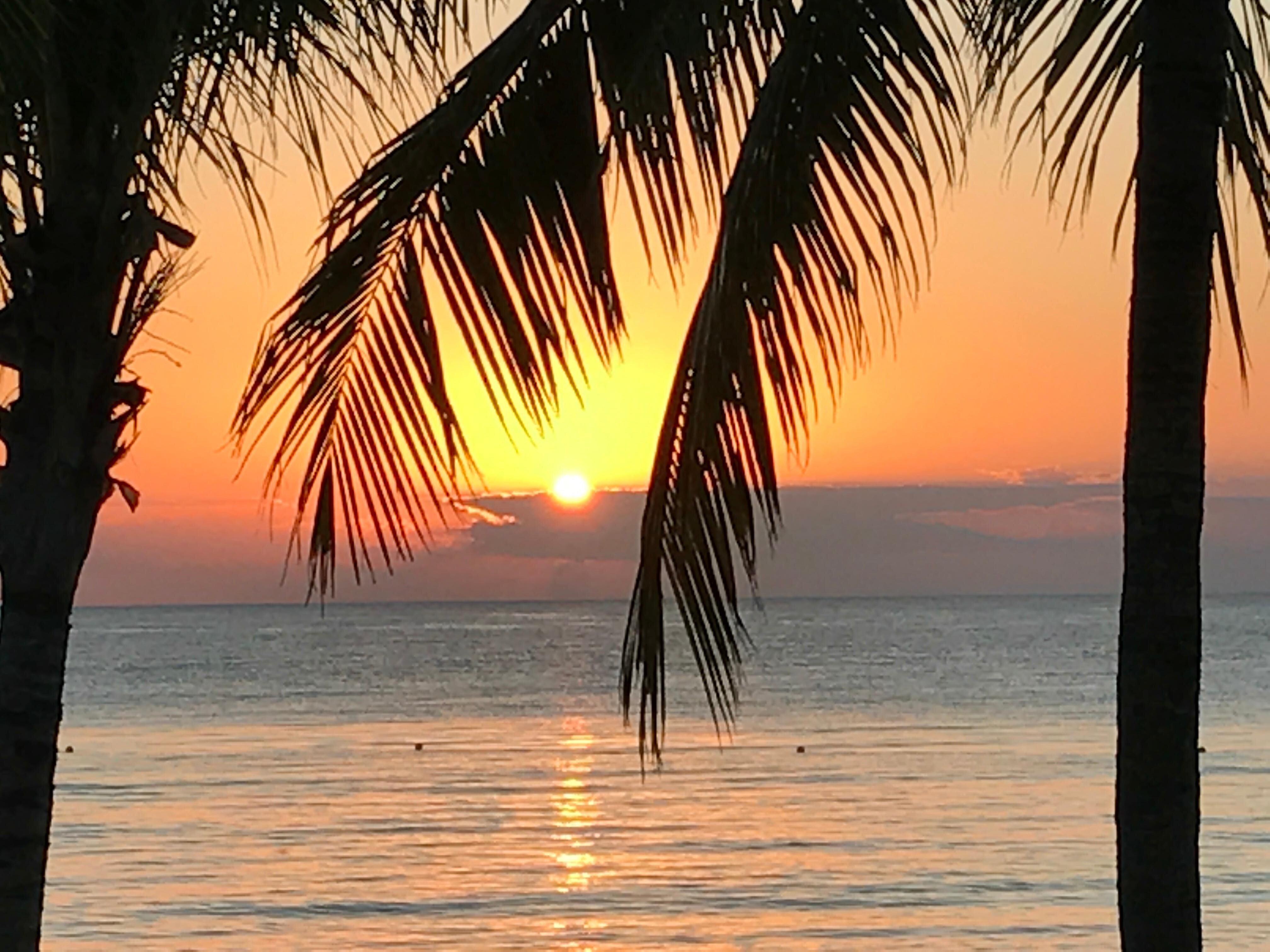 Sunsets