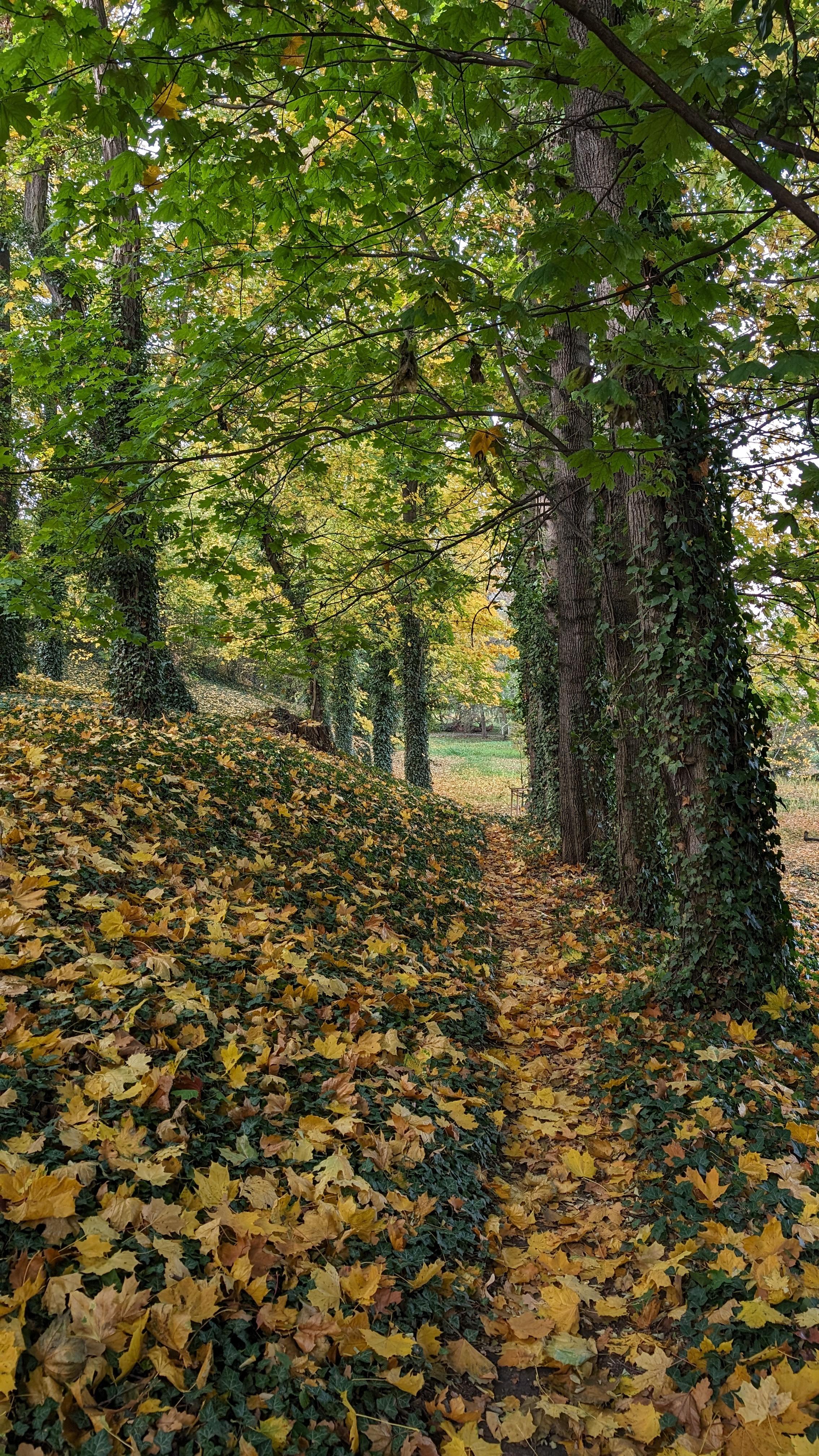 Park trail is part of the property.