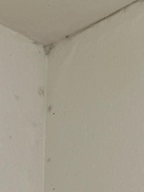 In the bathroom shower corner