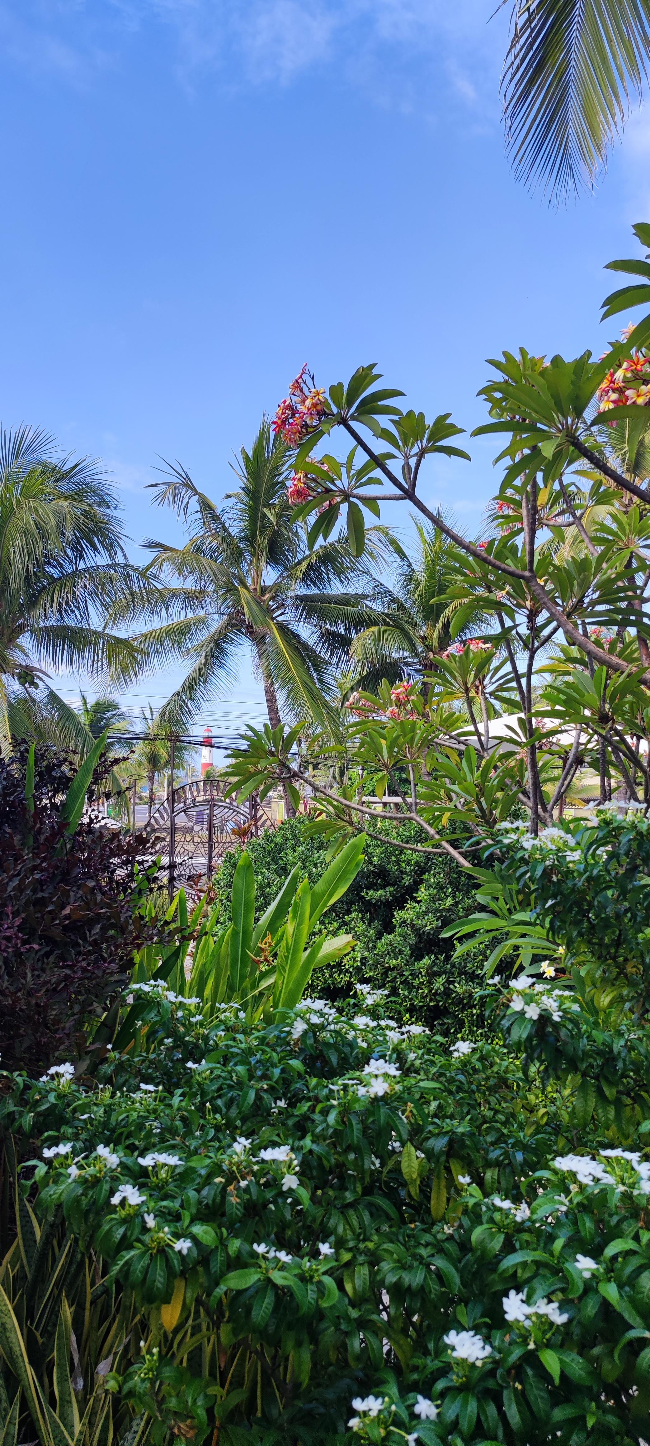 Le jardin avec le phare au loin