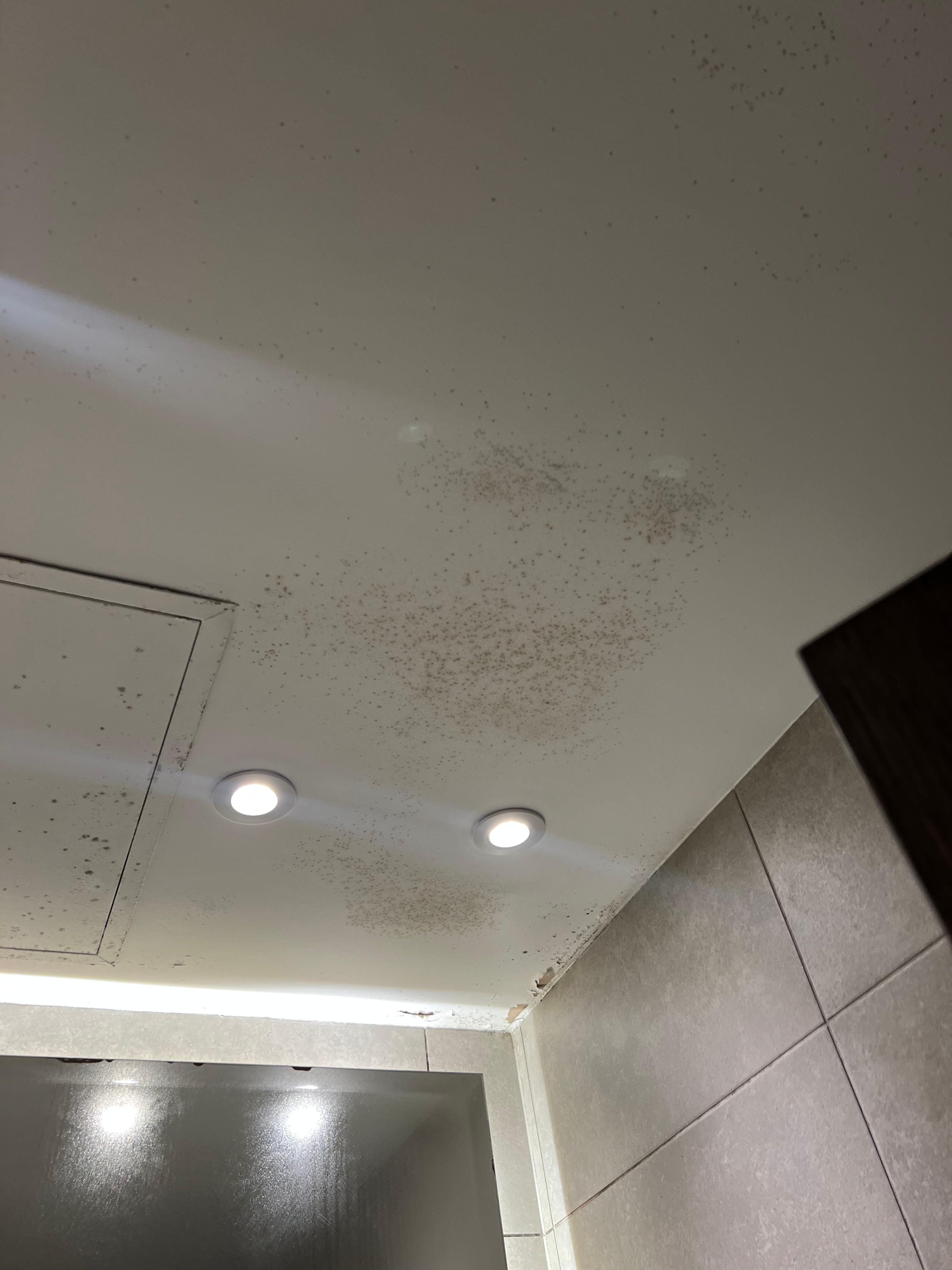 Mouldy ceiling