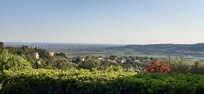 Vue apaisante sur la plaine de Vérone