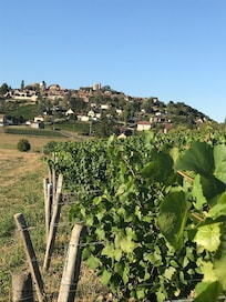 We enjoyed a wine tour in Sancerre. There is also a winery next to the B&B.