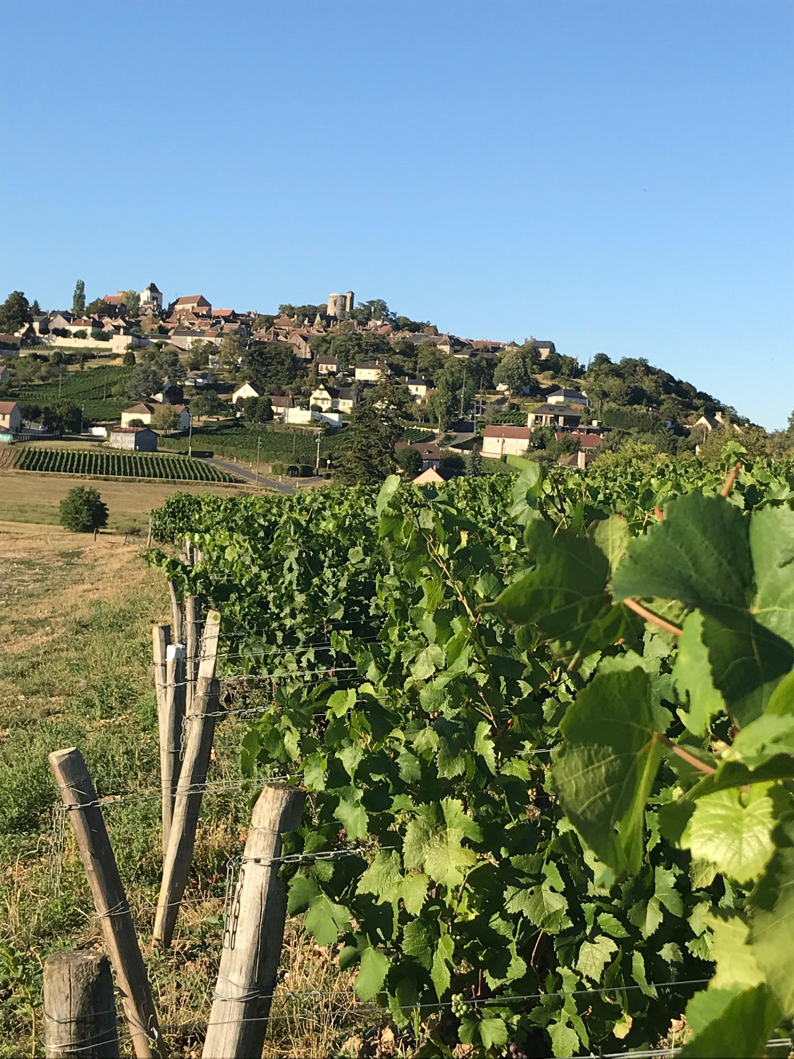 We enjoyed a wine tour in Sancerre. There is also a winery next to the B&B.