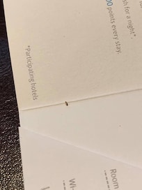 One of all the hundred ants I've spotted in the hotel room...