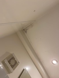 Bathroom ceiling