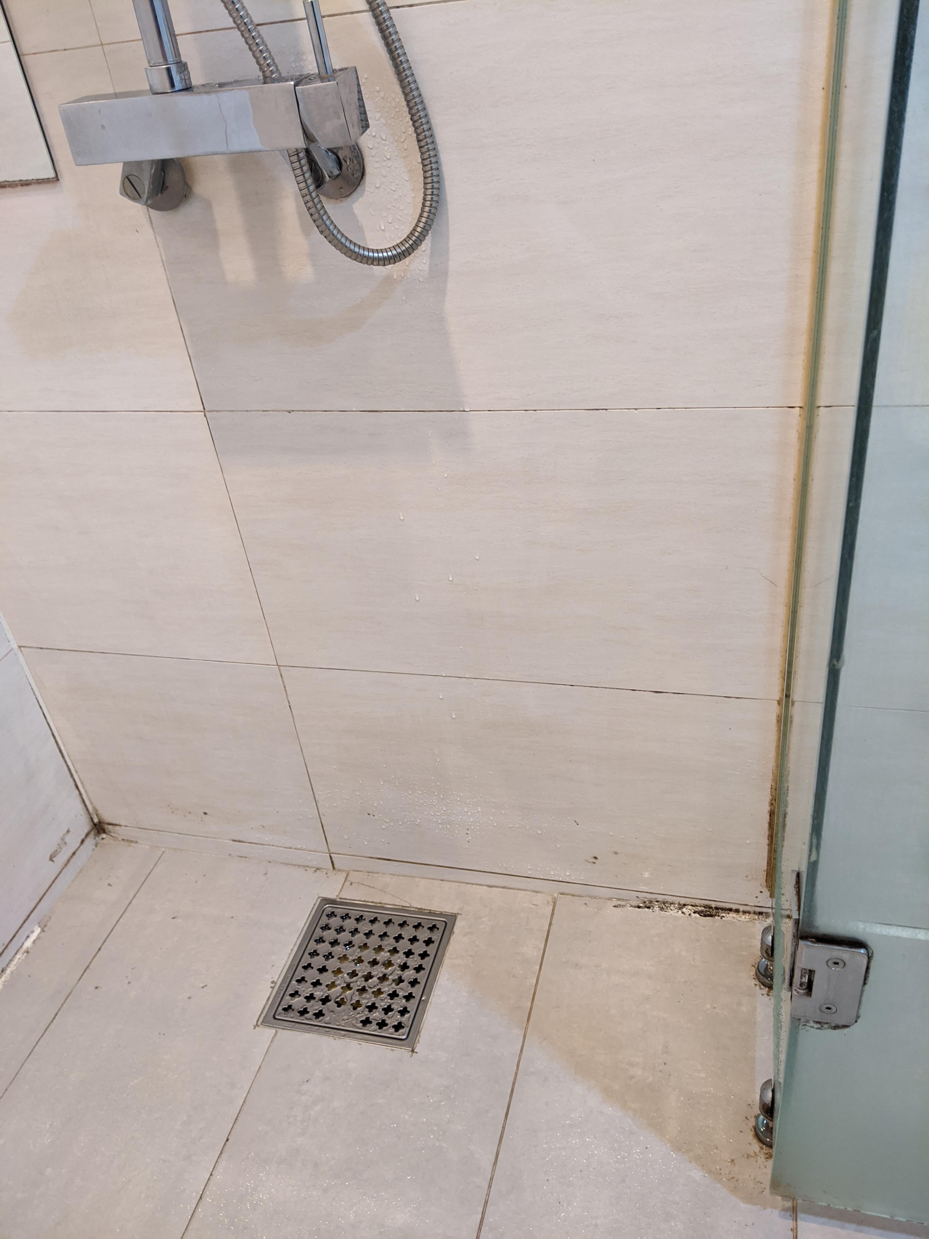 Mold in the shower