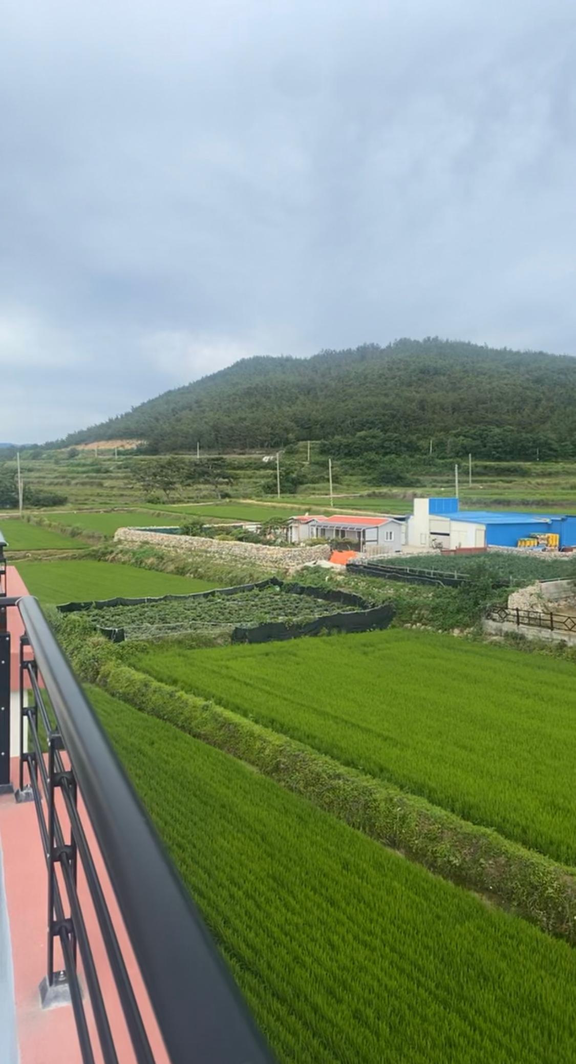 Beautiful agricultural feel from the rear view 