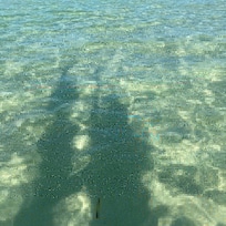 Clove Island Villas and Spa - turquoise water