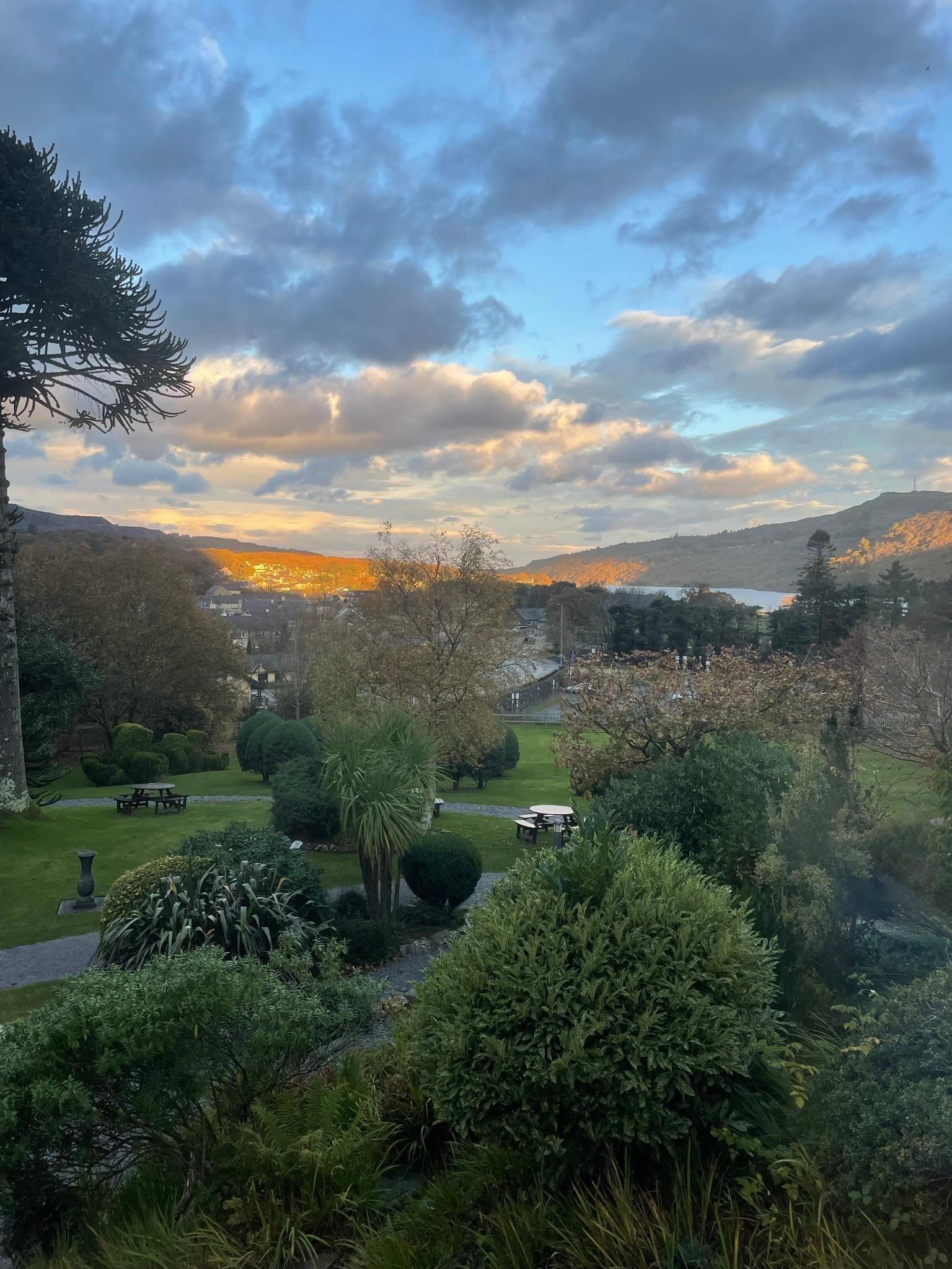 View from dinning room. 