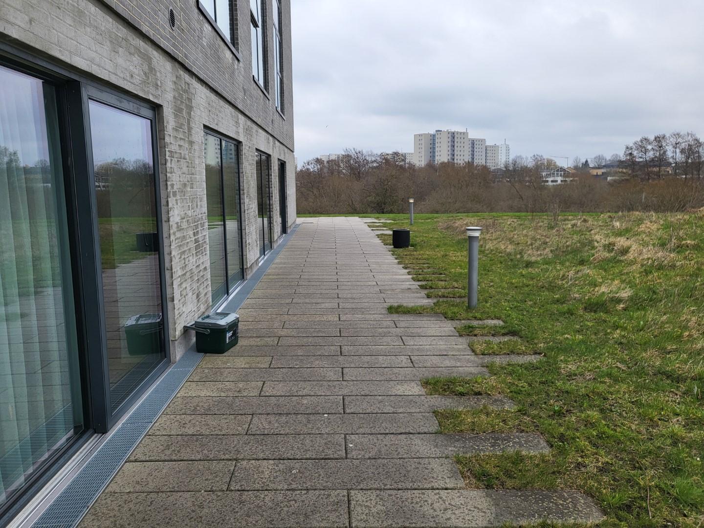 The "terrace" which is actually just a path running outside the room and up to the parking lot. No fencing or furniture.