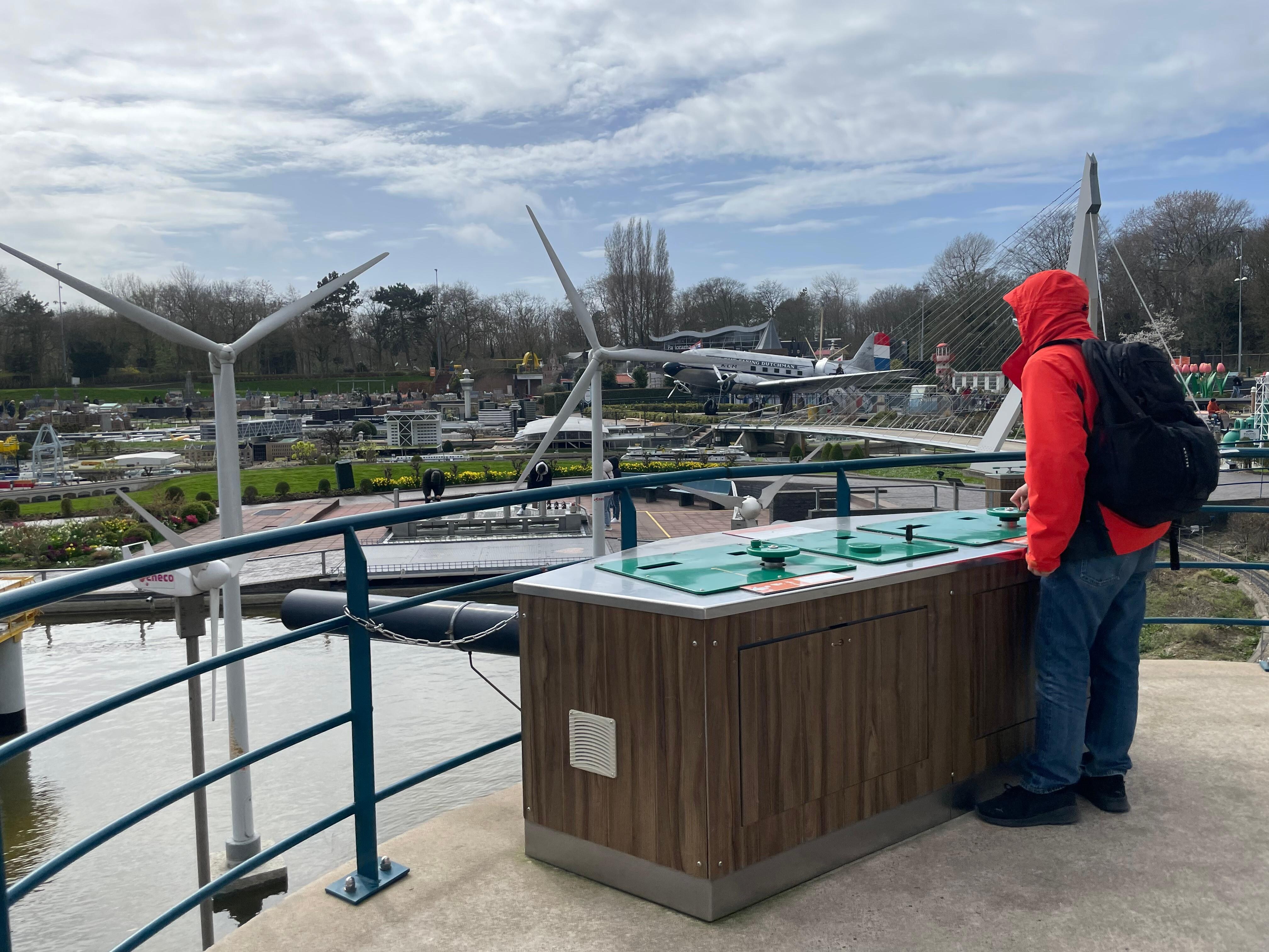 Insect was found inside the bedroom