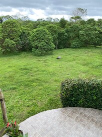 View from our balcony