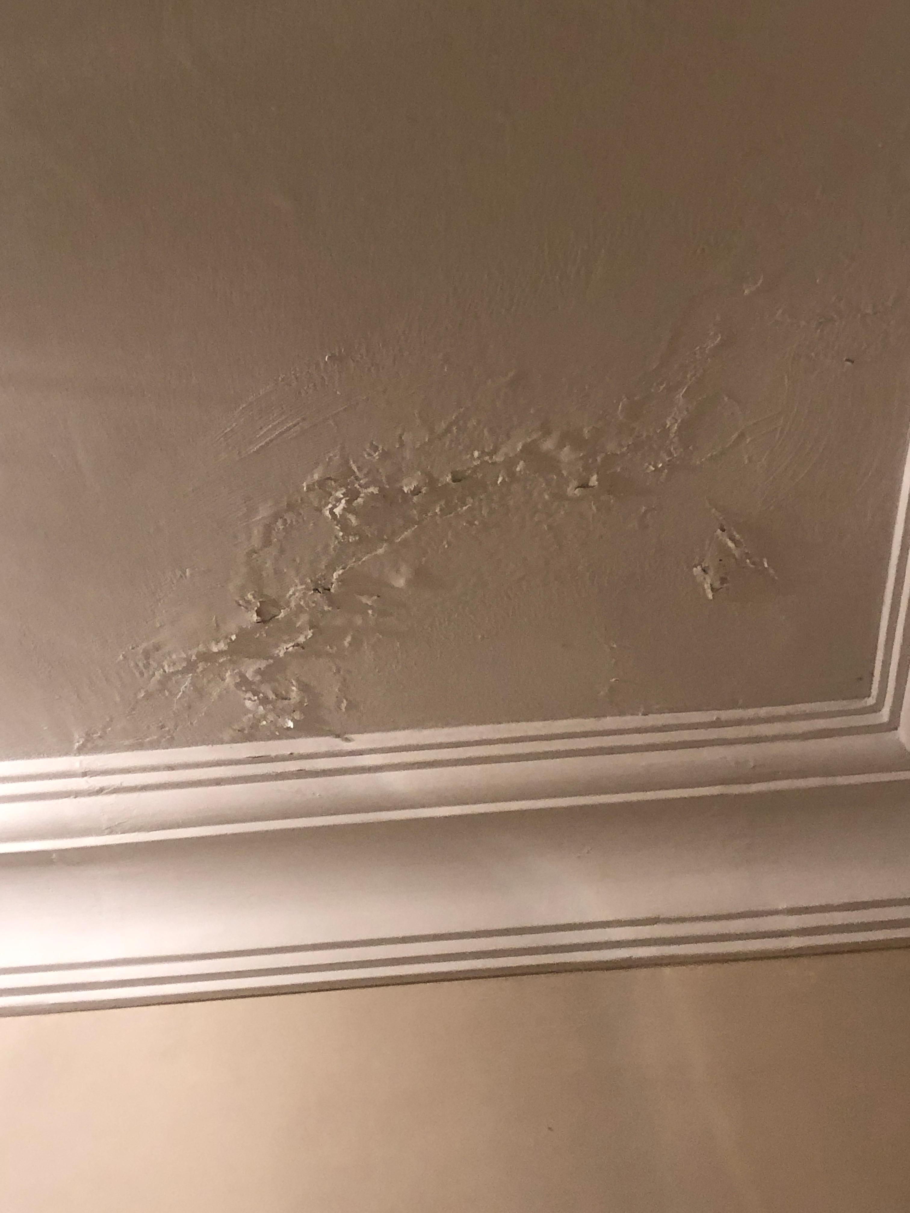 Water stains on ceiling