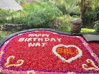 My Flower Pool, Loved it!