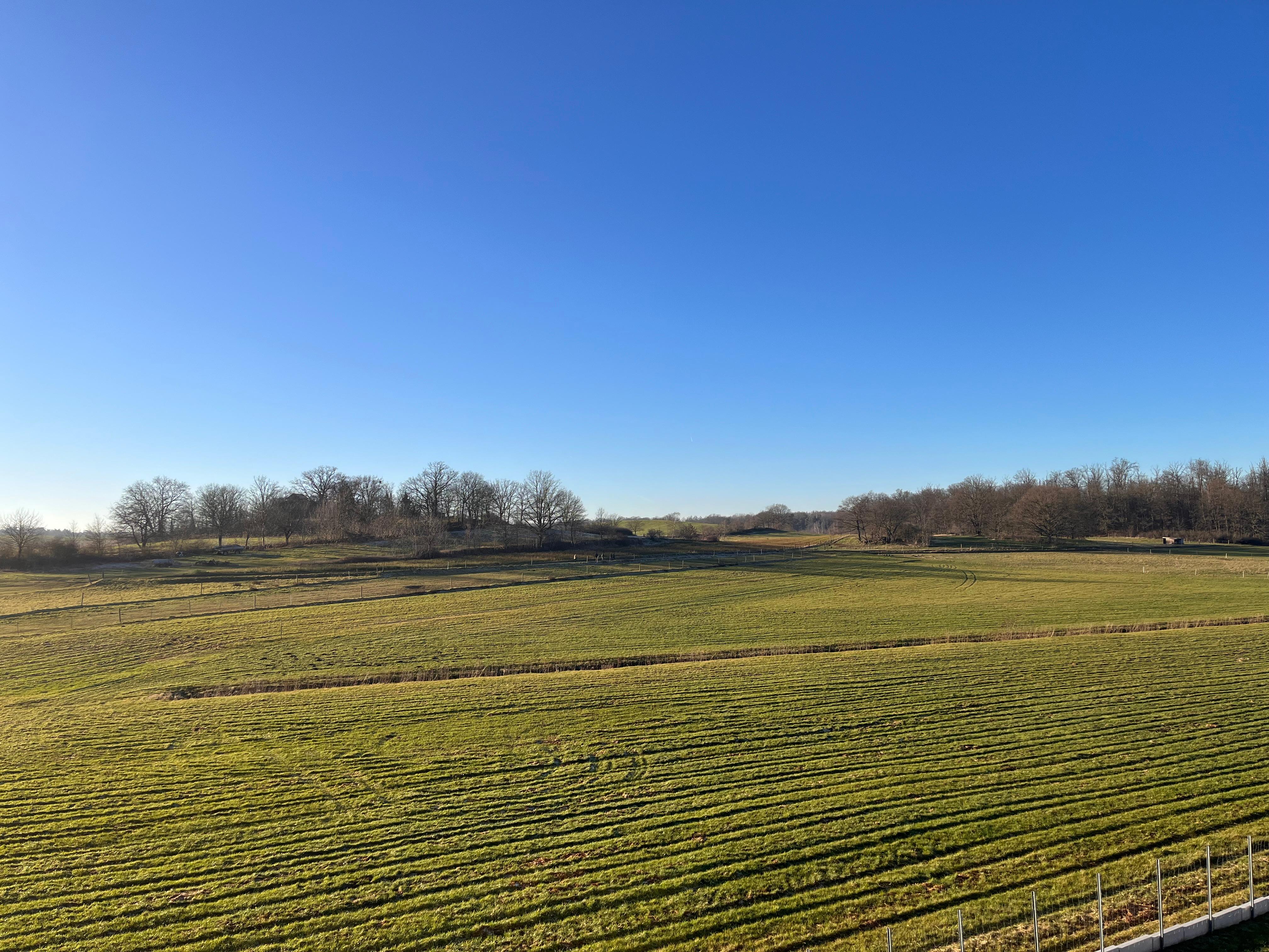 Blick aus dem Balkonzimmer